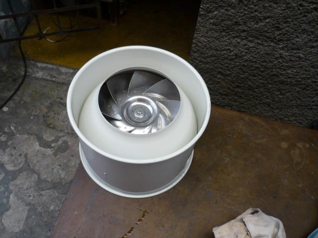 P1020306.JPG